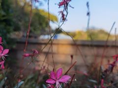 -怡海公园(桂城街道)