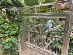 -南宫五洲植物乐园