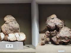 -北京中医药大学-中医药博物馆