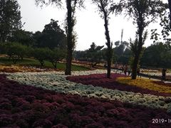 -北京植物园-展览温室