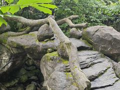 -花溪风景区