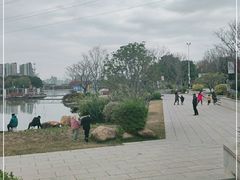 -光明港公园