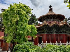 -故宫博物院(故宫)