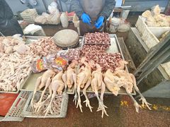 -重振华中蔬菜批发市场(重庆中路店)