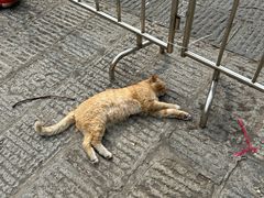 -宝通禅寺
