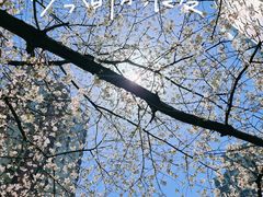 -玛格萝妮比萨屋(四平店)