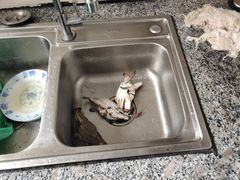 -许村蟹面(海宁许村大道店)