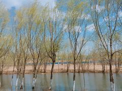 -永定河休闲森林公园