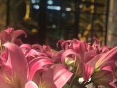 -Apollo·西班牙小酒馆(安福路店)