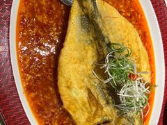 -圆苑(静安寺店)