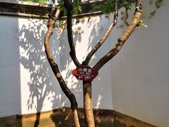 -蒋氏故居