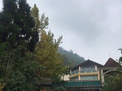 -花水湾第一村温泉大酒店