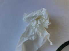 -上海和平饭店华懋阁 Cathay Room