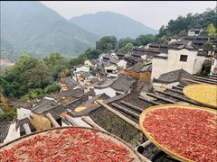 -婺源风景区