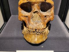 -北京周口店北京人遗址博物馆