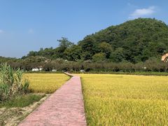 -红山村