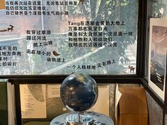 -橡皮书店(翠湖北路店)