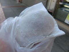 芒果糯米糍-澳门长洲糯米糍(柯打苏沙街店)