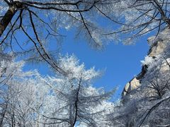 -崂山巨峰游览区