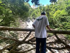 -海南热带雨林国家公园吊罗山景区