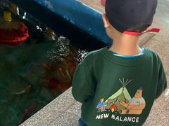 -北戴河圣蓝海洋公园