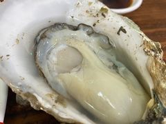 -四季美蚝皇