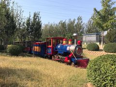 -永定河休闲森林公园