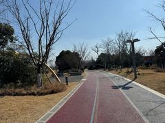 -澹台湖公园