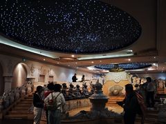 -乐山乌木文化博览苑