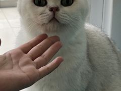 -青柠影咖·私人影院(龙泉店)