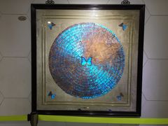 -上海昆虫博物馆