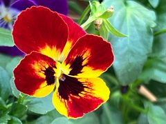 -广州国际生物岛