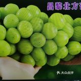       葡萄 提子  你会去 更钟爱哪