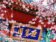 -桃花堤公园