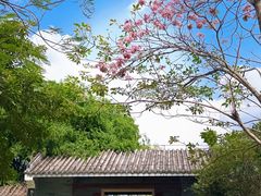 -海珠湖公园