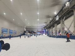 -重庆际华园室内极限运动中心