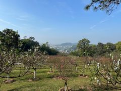 -广州莲花山旅游区