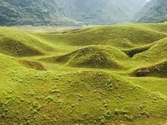-贵州百里杜鹃风景名胜区
