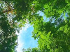-重庆彩云湖湿地公园