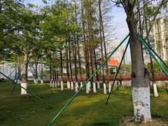 -风云岭森林公园