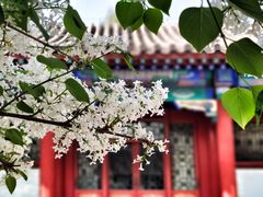 -恭王府博物馆