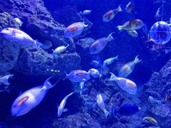 -成都浩海立方海洋公园