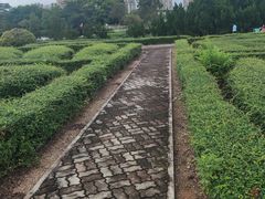 -南沙蒲洲花园