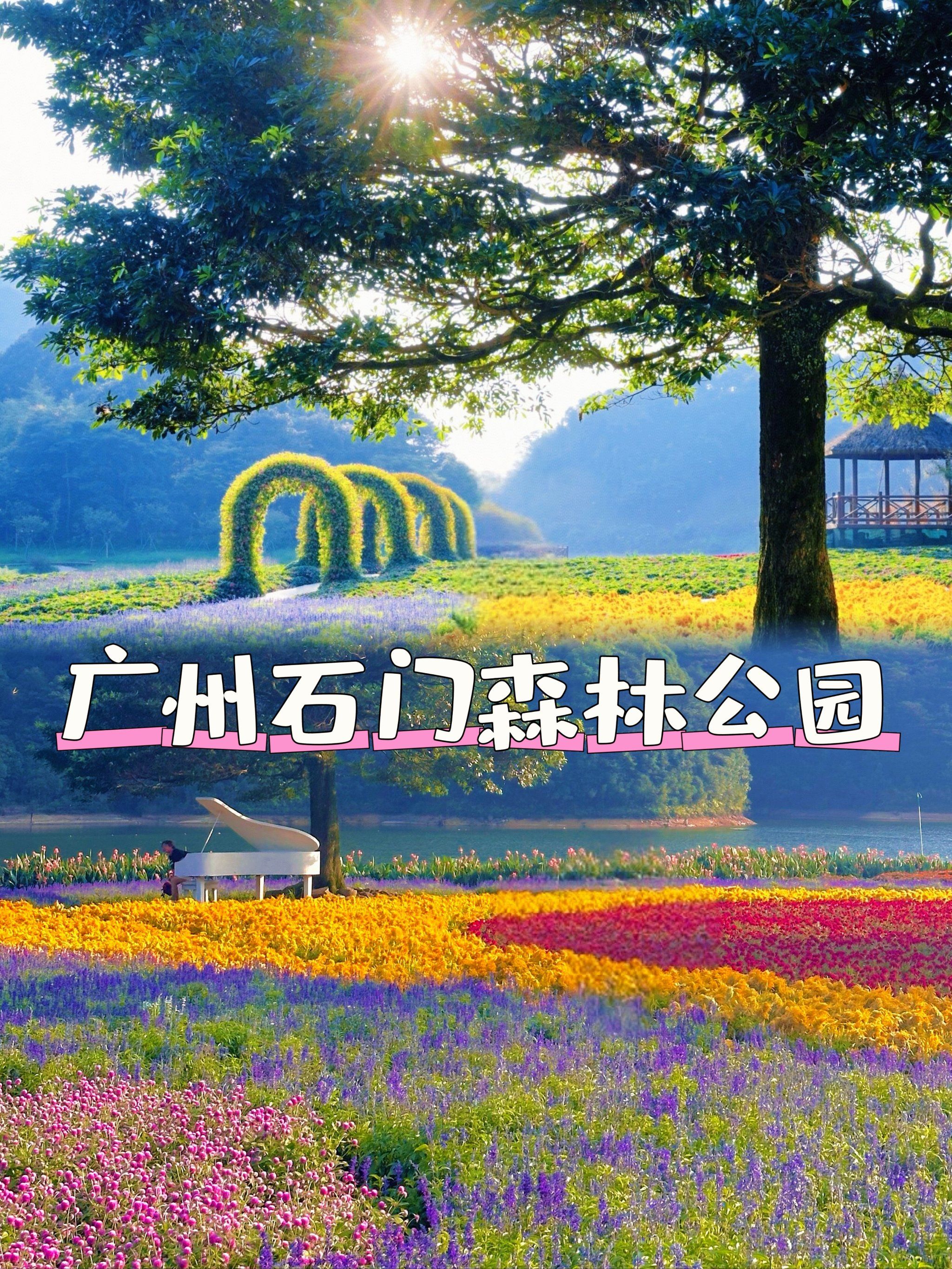 石门国家森林公园,隐藏在都市边缘的自然宝藏