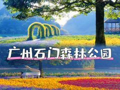 -广州市石门国家森林公园