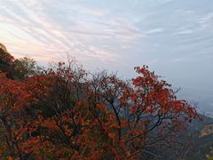 -少华山国家森林公园