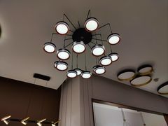 -张士灯具城(家居优选店)