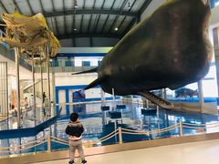 -上海海洋大学鱼文化博物馆(军工路校区)