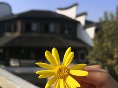 -黎里古镇