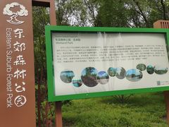 -东郊湿地公园